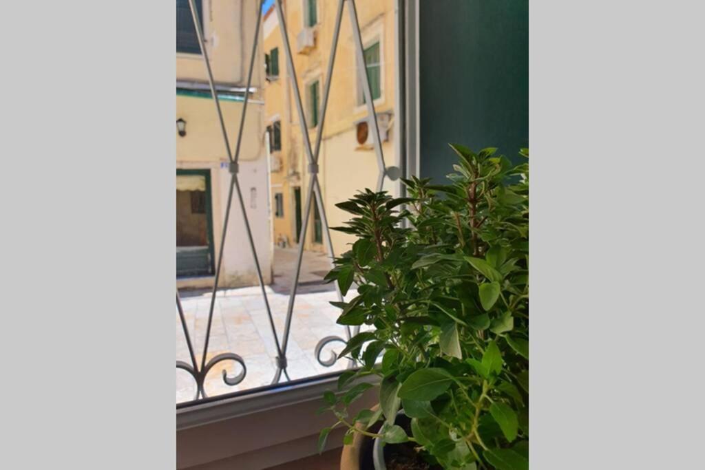 Elia Luxury Suite, Corfu Town Exterior photo